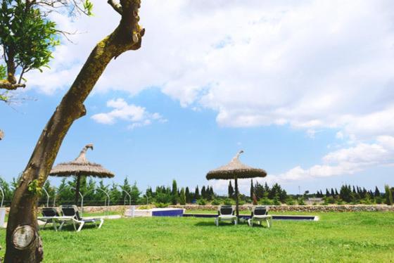 Holiday Home Finca Son Ramon Llubí Dış mekan fotoğraf