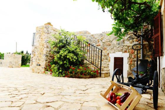 Holiday Home Finca Son Ramon Llubí Dış mekan fotoğraf